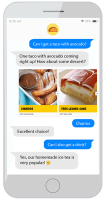 Conversation between chatbot and customer