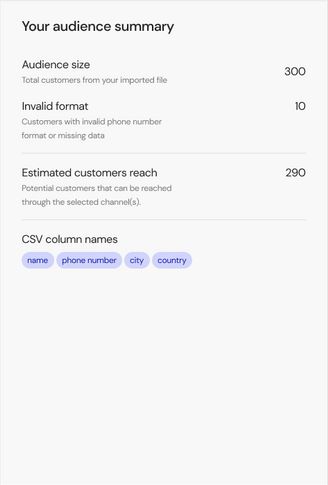 SInch Engage audience summary for campaigns creation