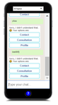 13.png