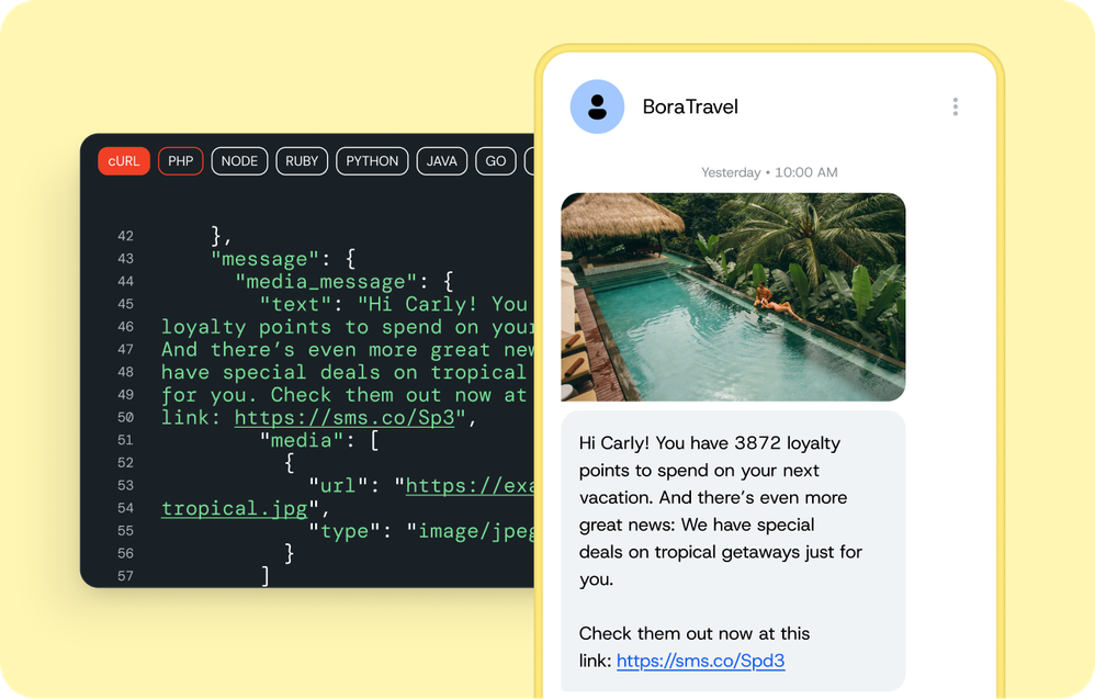 SI-MMS-API-code-snippet.png