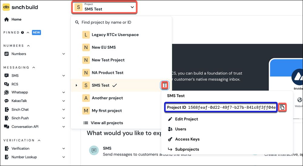 Project menu and Project ID.jpg